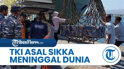 Tki Asal Sikka Meninggal Di Malaysia Keluarga Jemput Jenazah Di