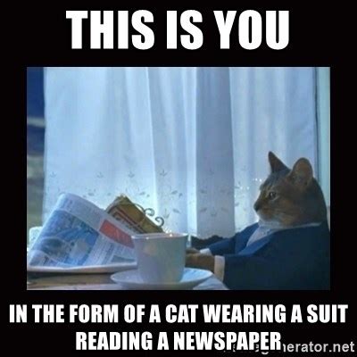 Cat Reading Newspaper I Should Buy A Boat