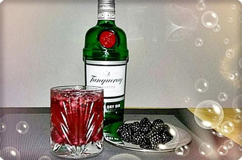 Mediterraner Gin Tonic Rezept Mit Bild Kochbar De