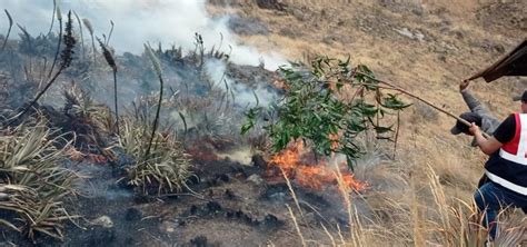 Áncash Incendio Forestal Duró Dos Días Y Consumió 15 Hectáreas De