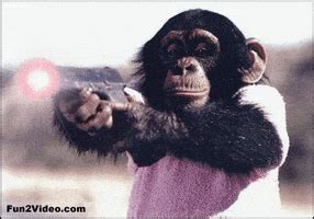 Monkey Gun GIFs - Find & Share on GIPHY