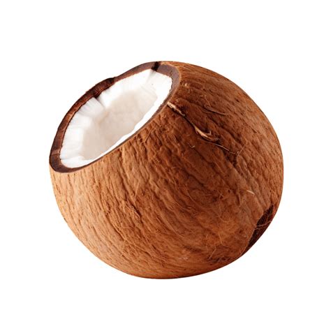 Dry Coconut Isolated On Transparent Background 46828376 Png