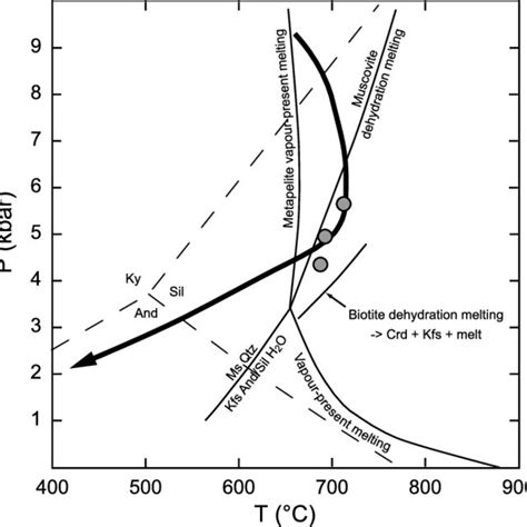 Pressure Temperature Diagram Showing Key Equilibria And P T Paths Download Scientific Diagram