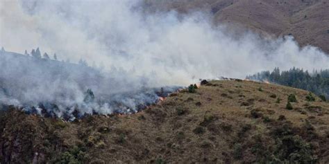 Cuáles son las causas de los incendios forestales en Ecuador Prensa