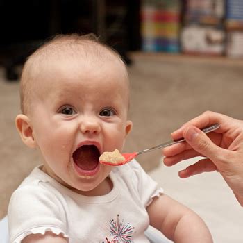 Alimentação no primeiro ano de vida MGFamiliar