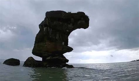 iconic cobra head sea stacks dramatic collapse