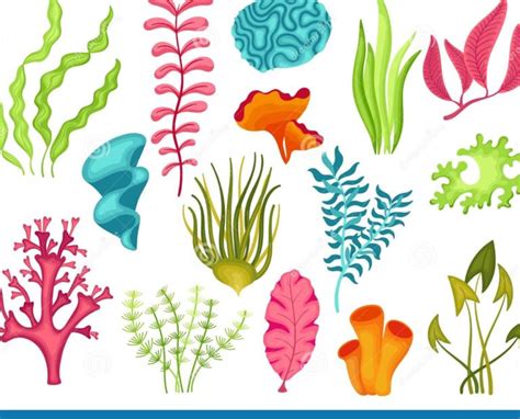 Plantas Marinas Descubre Especies Fascinantes Y Sus Nombres