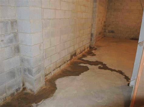 5 Signs You Need To Call A Basement Waterproofing Company Macedonia Oh