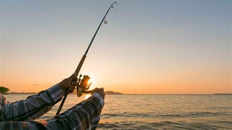 Le Migliori Canne Da Pesca Del Classifica E Guida All Acquisto