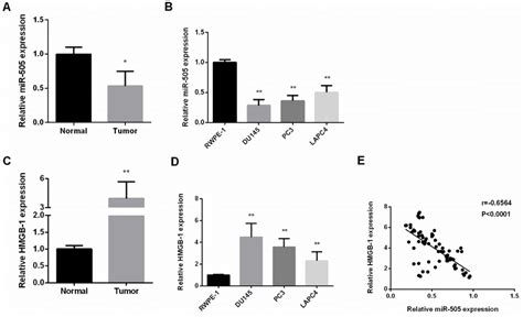 Decreased Mir And Increased Hmgb In Pc A Mir Expression