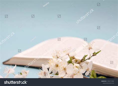 2225 Open Bible Flowers Gambar Foto Stok And Vektor Shutterstock