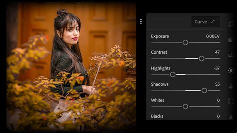 Dark Brown And Orange Effect Lightroom Mobile Photo Editing Tutorial