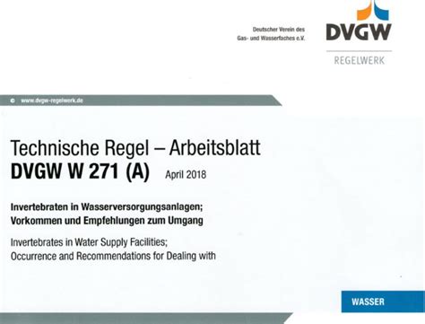 W 271 - Institut für Grundwasserökologie IGÖ GmbH