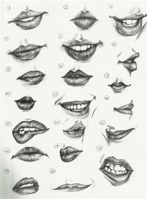 Lip Reference Drawing