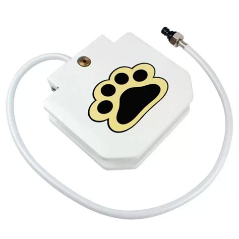 Automatic Outdoor Dog Water Fountain – aPETSHOPz