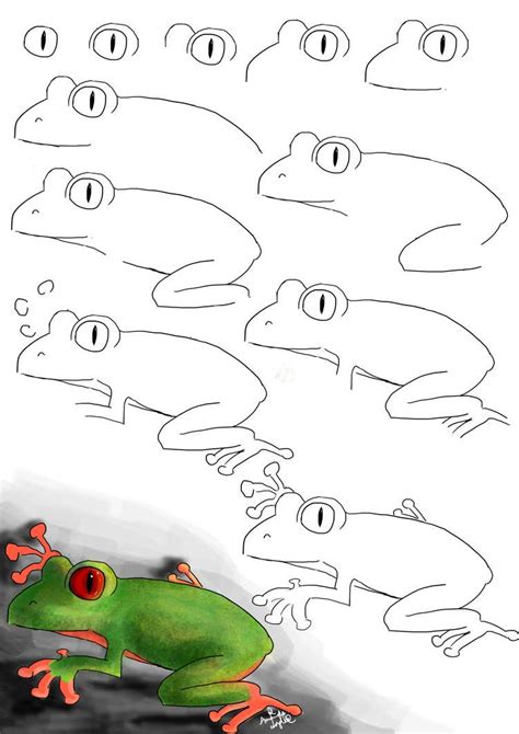 How To Draw Cute Frogs Images And Photos Finder