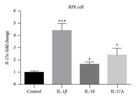 Morphology Of The Rscs And Il 17rc Expression A Rscs Are