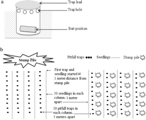 A Used Pitfall Trap In The Experiment B Field Experiment Design Of