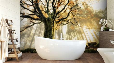 1x Photography Wallpaper Murals | Wallsauce UK