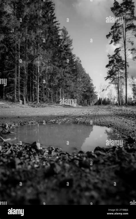 Puddle View Black And White Stock Photos And Images Alamy