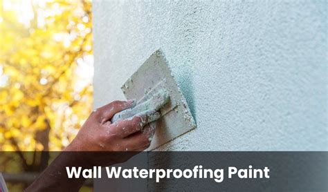 Using Wall Waterproofing Paint Importance And Steps Guide