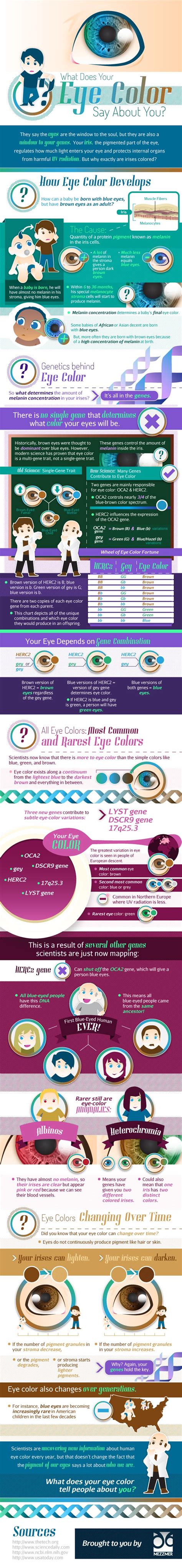 17 Best images about Science Infographics on Pinterest | Diabetes ...