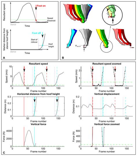 A universal approach to determine footfall timings from kinematics of a ...