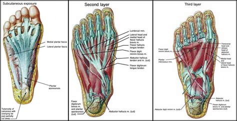 Fit and Healthy Feet for Better Tennis and Less Injuries