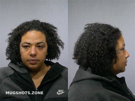 Johnson Erika Christina Kendall County Mugshots Zone