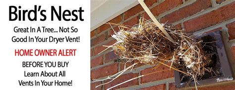 Bird's Nest Removal | Bird Covers | Vent Screens