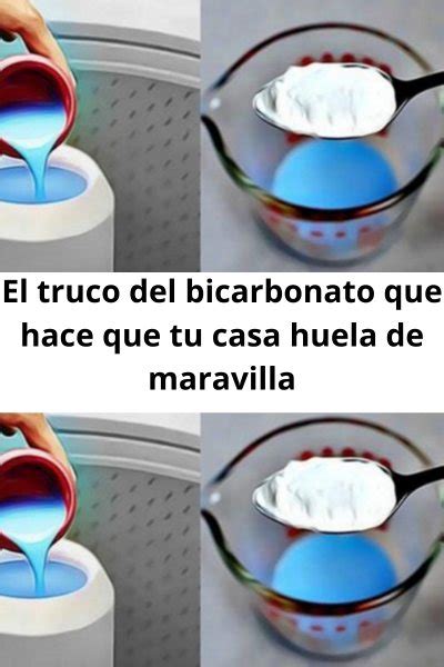 Ambientador Casero Para Que La Casa Huela Mejor Salud