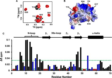 Frontiers Platelet Derived Chemokine CXCL7 Dimer Preferentially