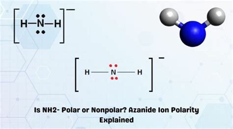 Is No3 Polar Or Nonpolar Nitrate Ion Polarity Explained