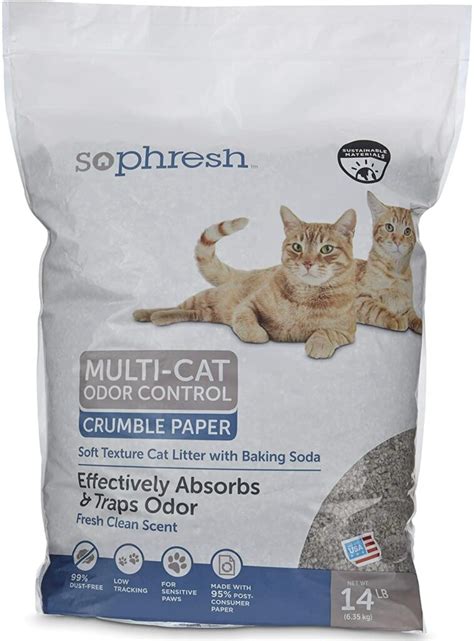 Best Cat Litter Brands: The Top 15 List - ListsForAll.com