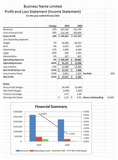 50 Profit and Loss Statements Examples | Ufreeonline Template