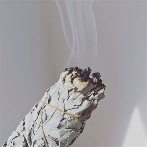 Burning White Sage