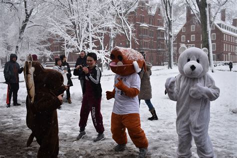 Harvard Crimson Mascot