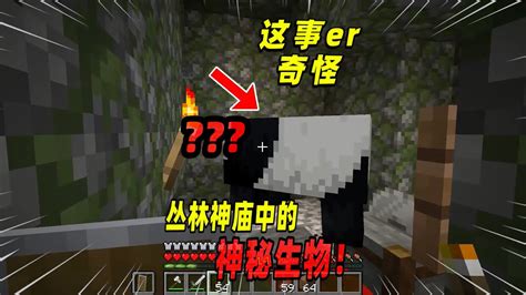 Minecraft我的世界都市传说：隐藏在丛林寺庙的神秘生物！ Youtube