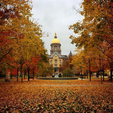 University Of Notre Dame Notre Dame Campus Notre Dame University