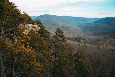 Ozark Mountains Arkansas Winter - Popular Century