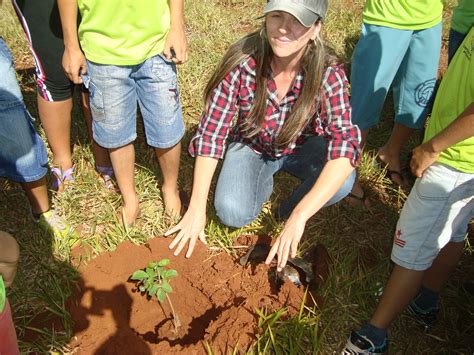 Escola Judith Alunos Plantam Árvores em Comemoração ao Dia da Árvore