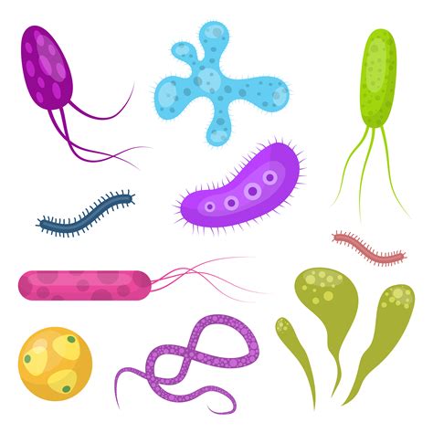 Ilustracion Vectorial De Dibujos Animados De Bacterias Y Virus Imagen Images