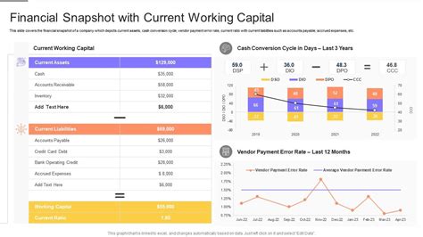 Financial Snapshot Template