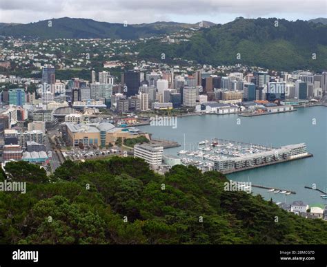 Wellington City From Mt Victoria Lookout Stock Photo Alamy