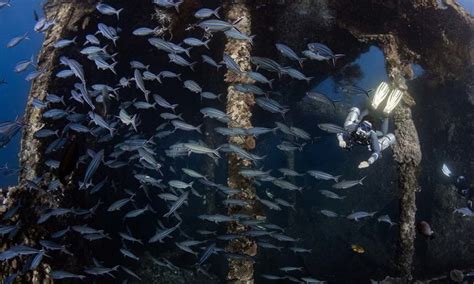 Diving In Tulamben The Ultimate Guide Let S Dive Tulamben