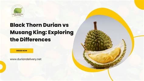 PPT - Musang King Durian PowerPoint Presentation, free download - ID ...