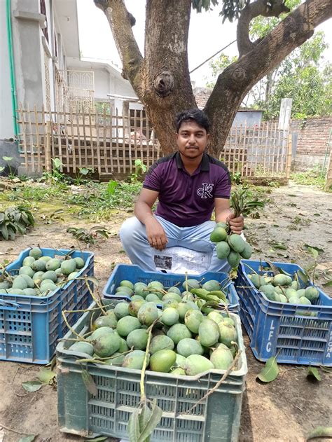mango bazar mzanggo bajar nawabganj