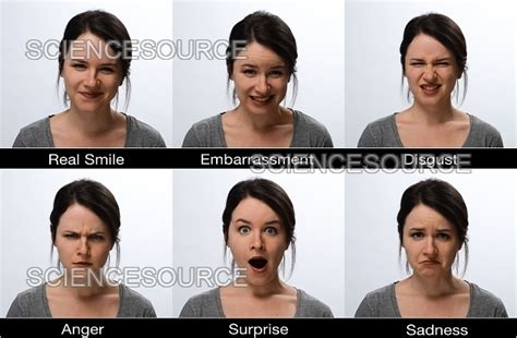 Different Facial Expressions | Stock Image - Science Source Images