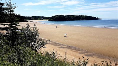 New River Beach Provincial Park: A Haven for Nature Enthusiasts