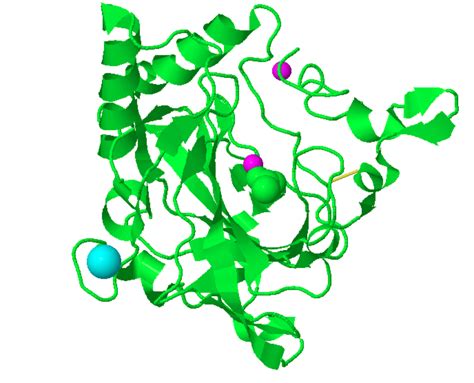 Solved What types of helices demonstrate this structure? | Chegg.com